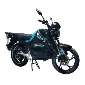 UL Certified Portable Folding Electric Bike Fast Speed for Adults
