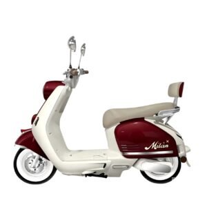 Long Range Electric Scooter High Capacity Battery for Daily Commute